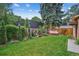 Lush backyard featuring a manicured lawn, privacy fence, mature trees, and a relaxing hammock for serene outdoor living at 583 S York St, Denver, CO 80209