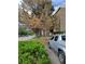 Outdoor view of the parking area near the apartment complex with tree lined streets at 384 S Ironton St # 407, Aurora, CO 80012