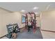 Basement gym with weightlifting equipment and free weights, perfect for a private workout space at 8015 Lt William Clark Rd, Parker, CO 80134