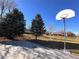 Outdoor basketball court in a quiet neighborhood, surrounded by trees at 10311 Adams Pl, Thornton, CO 80229