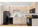 Modern kitchen with light wood cabinets, black appliances, and a stylish faucet at 2121 Hummingbird Way # 204, Georgetown, CO 80444