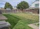 Large backyard features a well-kept lawn and a wood fence at 5151 Jasper St, Denver, CO 80239