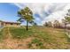 Large, grassy backyard featuring a mature tree and partially fenced perimeter at 19855 Draco Dr, Monument, CO 80132