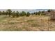 Spacious grassy backyard with mature trees, perfect for outdoor activities and relaxation at 19855 Draco Dr, Monument, CO 80132