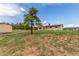 Ranch-style home in fenced yard with mature tree near house and storage shed at 19855 Draco Dr, Monument, CO 80132