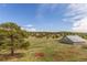 Large grassy area with mountain view in the distance at 19855 Draco Dr, Monument, CO 80132