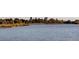 Scenic waterfront view showcases the tranquil lake and downtown skyline in the background at 2217 King St, Denver, CO 80211