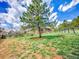 Secluded backyard with mature trees and a green space with distant neighbors at 323 Paradise Rd, Golden, CO 80401
