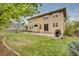 Spacious backyard with a patio, lawn, seating, BBQ and fully fenced perimeter at 1033 Petras St, Erie, CO 80516