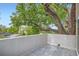 Large leafy tree casting shade over outdoor terrace at 1533 S Columbine St, Denver, CO 80210