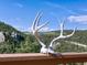 Scenic view from deck featuring deer antlers and a beautiful mountain backdrop at 6066 Crawford Gulch Rd, Golden, CO 80403
