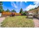 Beautiful backyard with a level lawn, privacy fence, and covered patio for relaxing at 4064 S Olathe Ct, Aurora, CO 80013