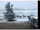 Backyard during winter with a light snowfall, featuring a wooded view and deer at 19688 E 52Nd Ave, Denver, CO 80249