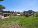 Expansive backyard featuring a patio, greenhouse, and serene natural surroundings at 2571 Sw Grapevine Rd, Idledale, CO 80453