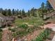 Beautifully landscaped backyard with lush greenery and mature trees providing privacy at 2571 Sw Grapevine Rd, Idledale, CO 80453