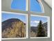 Enjoy this window view of the mountainous landscape and mature trees on a sunny day in this inviting home at 2571 Sw Grapevine Rd, Idledale, CO 80453