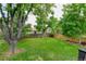 Expansive, well-maintained backyard with mature trees and a wooden fence, offering privacy and a natural setting at 8410 Gray St, Arvada, CO 80003