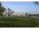 View of a lush green golf course with mature trees and a foggy sky at 15220 E Caley Ave, Centennial, CO 80016