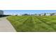 Expansive green space and walking path enhances community living and provides recreation at 709 Twining Ave, Brighton, CO 80601