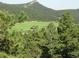 Scenic view of a verdant valley surrounded by lush green trees and majestic mountain peaks at 25019 N Mountain Park Dr, Evergreen, CO 80439