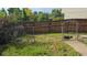 Spacious backyard with a chain-link fence, wooden fence, and lush green grass, perfect for outdoor activities at 4543 Cathay St, Denver, CO 80249