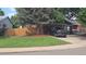 Landscaped front yard showcasing a well-maintained lawn, mature tree, and a black truck in the driveway at 4543 Cathay St, Denver, CO 80249