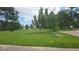 Open green park space with mature trees, soccer goal, picnic tables, and walking path at 4543 Cathay St, Denver, CO 80249