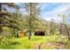 Rustic cabin with wooden siding surrounded by lush greenery and trees at 35106 Boulder Canyon Dr, Boulder, CO 80302