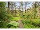 A grassy trail leads you to a walking bridge surrounded by tall lush trees at 35106 Boulder Canyon Dr, Boulder, CO 80302