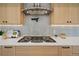 Close-up of a gourmet kitchen showcasing a stainless steel range hood, gas cooktop, and sleek countertops at 1601 S Columbine St, Denver, CO 80210