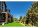 Beautiful backyard with a spacious deck, lush lawn, and mature trees offering privacy at 6787 Serena Ave, Castle Pines, CO 80108