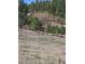 A circular corral is set in a field surrounded by trees and a white fence, providing space for livestock at 3841 Myers Gulch Rd, Kittredge, CO 80457