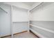 A well-organized walk-in closet with built-in shelving and ample hanging space for storage at 2049 Silverheels Dr, Larkspur, CO 80118