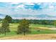 Scenic golf course views in the community with lush greenery and mountain backdrop at 7703 S Grape Ct, Centennial, CO 80122