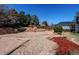 Large backyard with a mix of stone, mulch, and grass, creating a serene outdoor space at 7087 Sapphire Pointe Blvd, Castle Rock, CO 80108