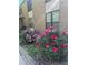 Picturesque gardens showcasing vibrant pink roses and meticulously arranged landscaping at 3550 S Harlan St # 249, Denver, CO 80235