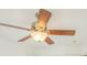 Ceiling fan with wooden blades at 510 Fairhaven St, Castle Rock, CO 80104
