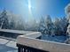 Scenic winter backyard view featuring snow-covered trees under a bright sunny sky at 12570 W 60Th Ave, Arvada, CO 80004