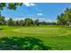 Golf course image with green putting surface and short grass, perfect for golfers and nature enthusiasts at 13961 E Marina Dr # 409, Aurora, CO 80014