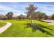 Neighborhood greenspace featuring mature trees, lush grass, and paved walking paths at 8835 Edinburgh Cir, Highlands Ranch, CO 80129