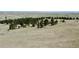 Panoramic aerial view of a property showcasing rolling green hills, scattered trees, and multiple homes at 1740 Michael Gates Dr, Parker, CO 80138