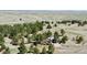 Aerial shot of a home surrounded by lush trees and vast grassland at 1740 Michael Gates Dr, Parker, CO 80138
