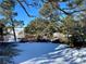 Picturesque backyard view with mature pine trees, snowy ground, and an arched walking bridge at 1740 Michael Gates Dr, Parker, CO 80138