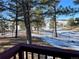 Scenic backyard view featuring mature trees and a distant snow-covered landscape, framed by a dark metal fence at 1740 Michael Gates Dr, Parker, CO 80138