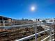 Horse corral with metal pipe fencing and views of adjacent property with a clear, sunny sky at 1740 Michael Gates Dr, Parker, CO 80138