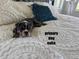 Adorable puppy sleeping in a primary bedroom suite at 42225 Kingsmill Cir, Elizabeth, CO 80107