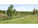 Neighborhood with walking path at 10511 Jaguar Gln, Lone Tree, CO 80124
