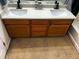 Double sink vanity with white countertop, oak cabinets and carpeted floor at 14873 E 119Th Ave, Commerce City, CO 80603
