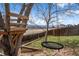 Backyard with a custom-built treehouse and tire swing offers a private outdoor area for Gathering and recreation at 3738 Black Feather Trl, Castle Rock, CO 80104