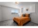 Bright bedroom with a large window, plush carpet, and stylish decor at 3738 Black Feather Trl, Castle Rock, CO 80104